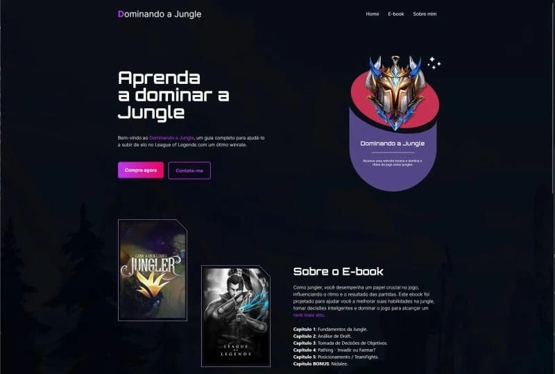 Frontend Developer project screenshot